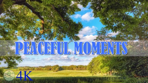 Peaceful Moments | Relaxing Music & Peaceful Nature Scenes | Your Escape to Calm and Serenity