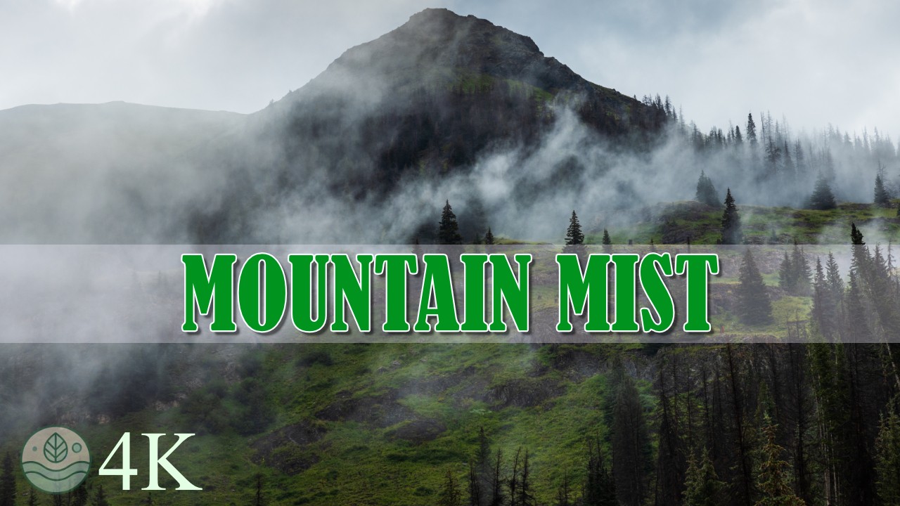 Mountain-Mist