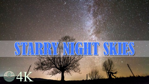 Starry Night Skies: Relaxing Sounds for Deep Sleep