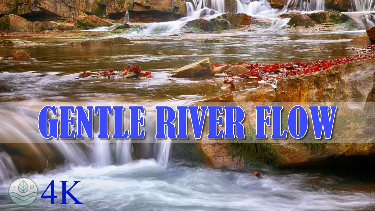 Gentle-River-Flow